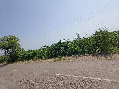 3 Acre Agricultural/Farm Land for Sale in Nalhar, Nuh