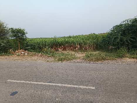 100 Sq. Yards Commercial Lands /Inst. Land for Sale in Nalhar, Nuh