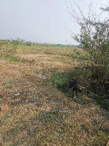 1 Acre Agricultural/Farm Land for Sale in Nalhar, Nuh