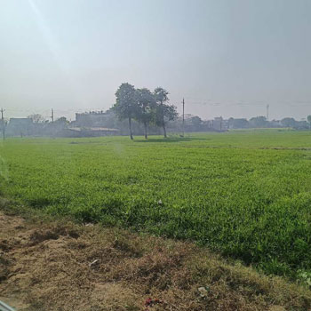 2400 Sq. Yards Agricultural/Farm Land for Sale in Teekli Village, Gurgaon