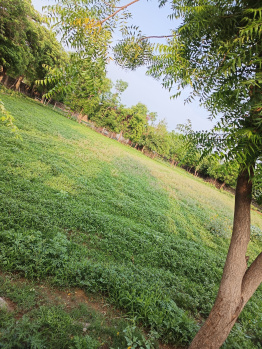 Now buy a farm house in the plains of Aravalli mountain, 5 km away from Nuh, in just 1cr