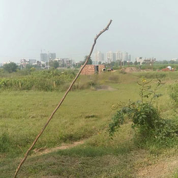 100 Sq. Yards Residential Plot for Sale in New Chandigarh, Chandigarh