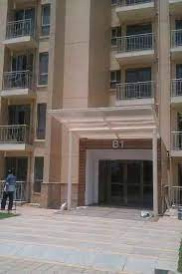 3 BHK Flats & Apartments for Rent in Sector 47, Gurgaon (1570 Sq.ft.)