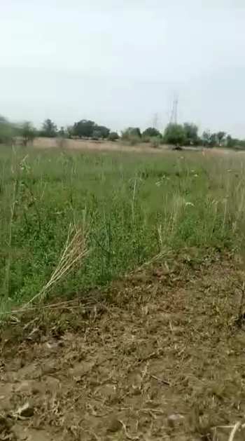 8 Bigha Agricultural/Farm Land for Sale in Phulera, Jaipur