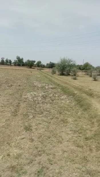 50 Bigha Agricultural/Farm Land for Sale in Phulera, Jaipur