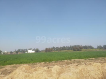 15 Acre Agricultural/Farm Land for Sale in Kosli, Rewari