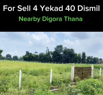 Property for sale in Taricharkalan, Tikamgarh