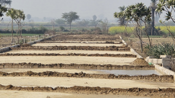 RESIDENTIAL PLOTS (GATED SOCIETY)