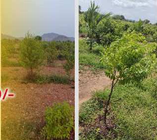 Property for sale in Vinukonda, Guntur