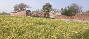 Property for sale in Jahangirpur, Gautam Buddha Nagar