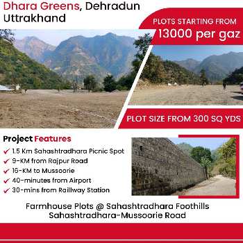 300 Sq. Yards Residential Plot for Sale in Sahastradhara, Dehradun