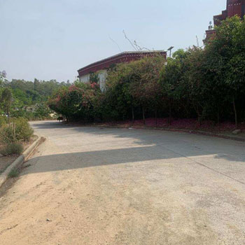 2520 Sq.ft. Residential Plot for Sale in Saharanpur Road, Dehradun