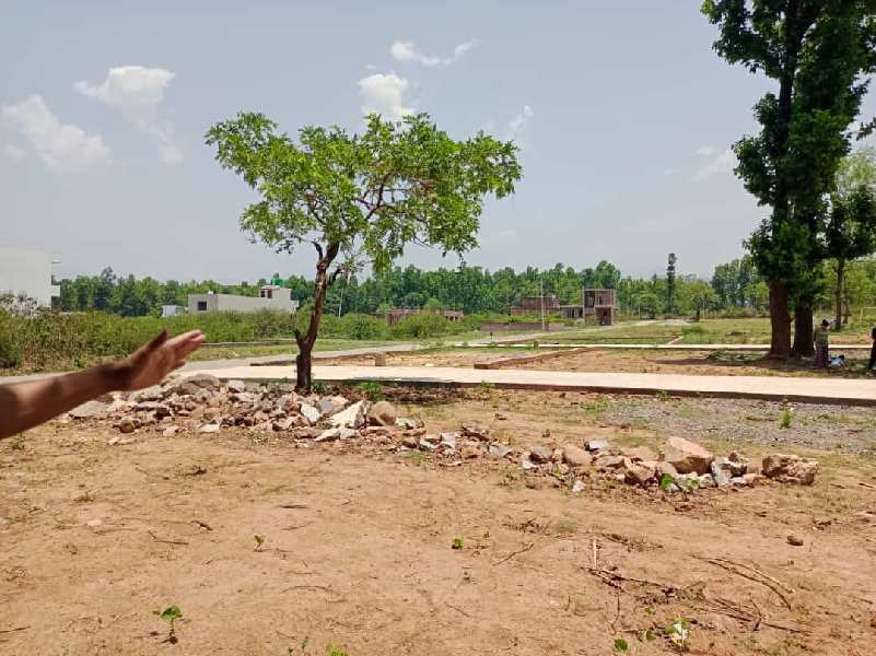 1800 Sq.ft. Residential Plot for Sale in Raipur, Dehradun