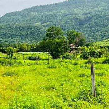 Moutain & Waterfall View 8.5 Acre 1:1 FSI Land for sale in KARJAT.