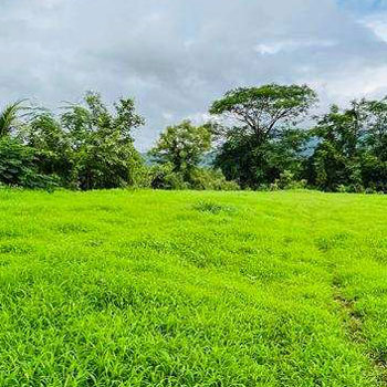 21 Gunthe Table Land land for sale at TATA Road, Karjat.