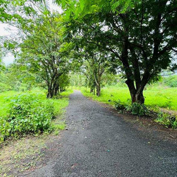 Karjat-Chowk Highway Touch 10 acre agriculture land for sale.