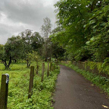 Karjat-Chowk Highway Touch 3.5 acre agriculture land for sale.