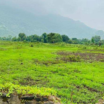 Karjat Mountain & Canal touch 250 acre agriculture land for sale.