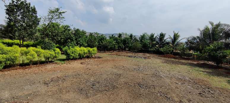 Ready Farmhouse For Sale In Karjat. Road Trees Compound Boarwell Elctricity.