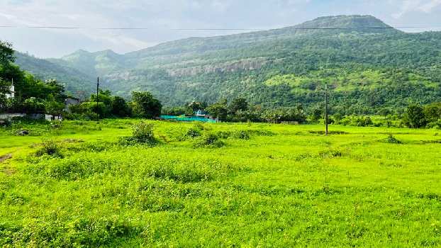 1:1 FSI Waterfall & Mountain View 2 Acre Land For Sale Next to RADDISON BLU Resort Karjat.