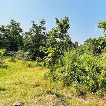 16 acre land For sale at Nandgaon, 30km from Karjat station.