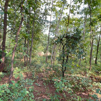15 acre land For sale at village baliware 30 km from Karjat station.