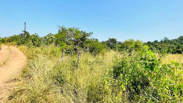 2 acre agriculture land for sale 14 km from karjat station.