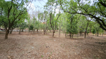 10 Acre mango wadi for sale at 18km from Karjat Station.