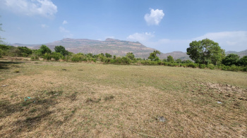 MOUNTAIN VIEW 30 GUNTHE AGRICULTURE LAND FOR SALE NEXT TO VENGAON, KARJAT.