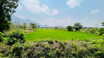 46 Guntha Agriculture land for sale 8 Km from Karjat.