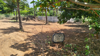 Residential Plot for Sale in Bagalur Road, Hosur (1500 Sq.ft.)