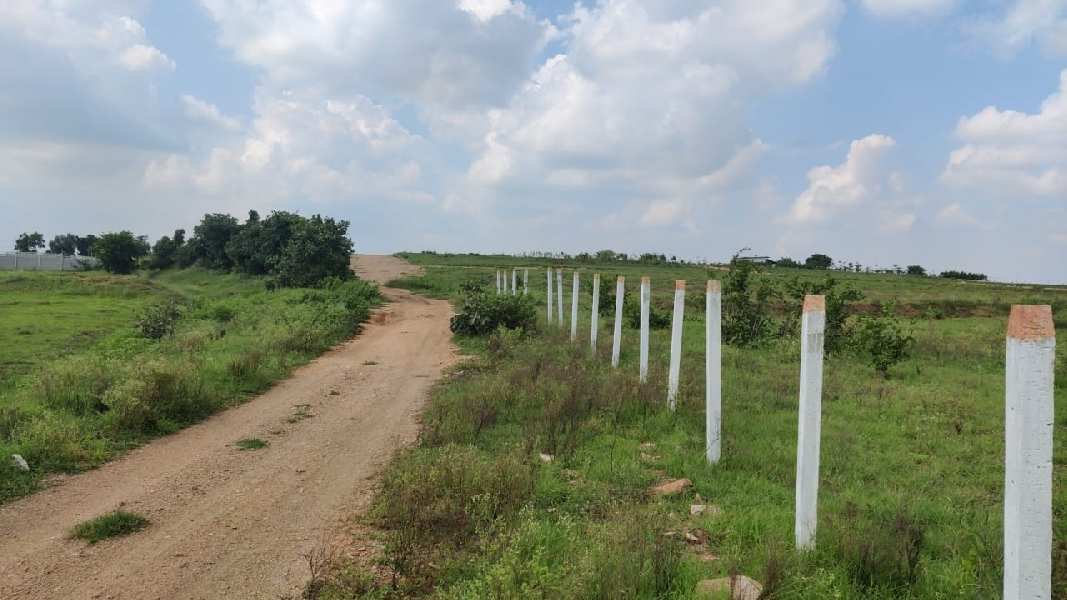 9 Acre Agricultural/Farm Land for Sale in Chevella, Hyderabad