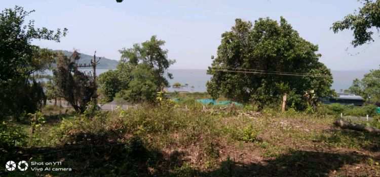 3229 Sq.ft. Residential Plot For Sale In Murud, Raigad