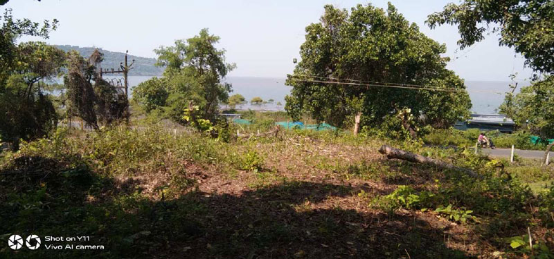 3229 Sq.ft. Residential Plot For Sale In Chaul, Raigad