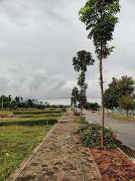 1565 Sq.ft. Residential Plot for Sale in Neral, Raigad