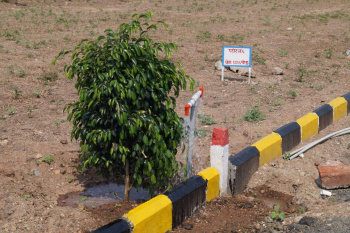 PRIME LOCATION PLOTS IN BADLAPUR