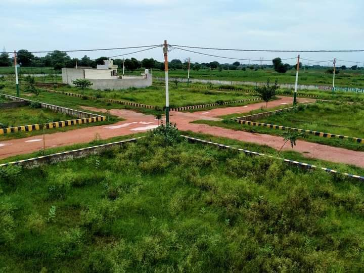 7 Bigha Agricultural/Farm Land For Sale In Pali Road Pali Road, Jodhpur