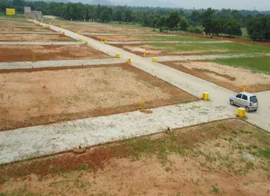 1800 Sq.ft. Residential Plot For Sale In Keotiranwe, Darbhanga