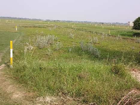 2700 Sq.ft. Residential Plot for Sale in Delhi More, Darbhanga