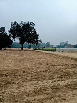 1250 Sq.ft. Residential Plot for Sale in Gosainganj, Lucknow