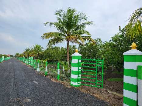 9700 Sq.ft. Agricultural/Farm Land for Sale in Acharapakkam, Chennai
