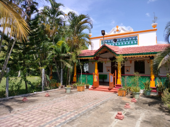 9797 Sq.ft. Agricultural/Farm Land for Sale in Tindivanam, Villupuram