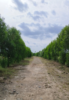 Property for sale in Pulipakkam, Chengalpattu