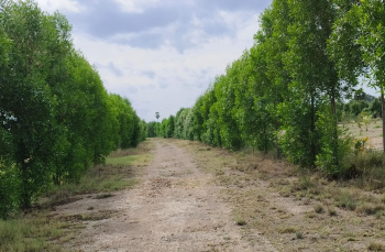 Property for sale in Pulipakkam, Chengalpattu