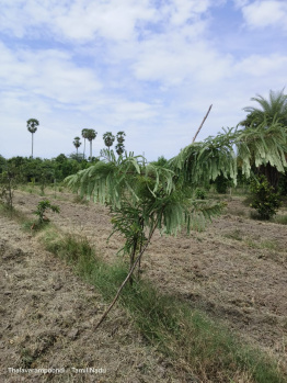 Property for sale in Uthiramerur, Kanchipuram