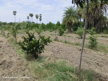 Property for sale in Uthiramerur, Kanchipuram