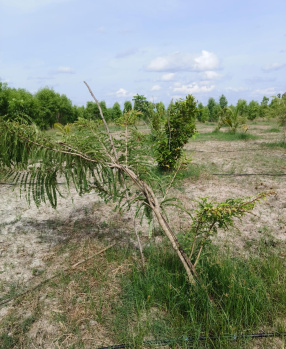 Property for sale in Pulipakkam, Chengalpattu