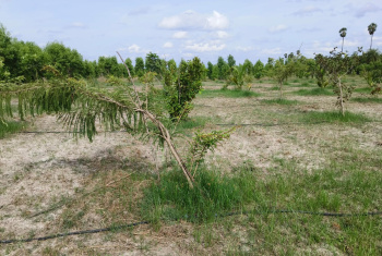 Property for sale in Alapakkam, Chengalpattu