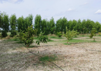 Property for sale in Alapakkam, Chengalpattu