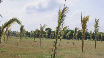 Property for sale in Madurantakam, Chennai